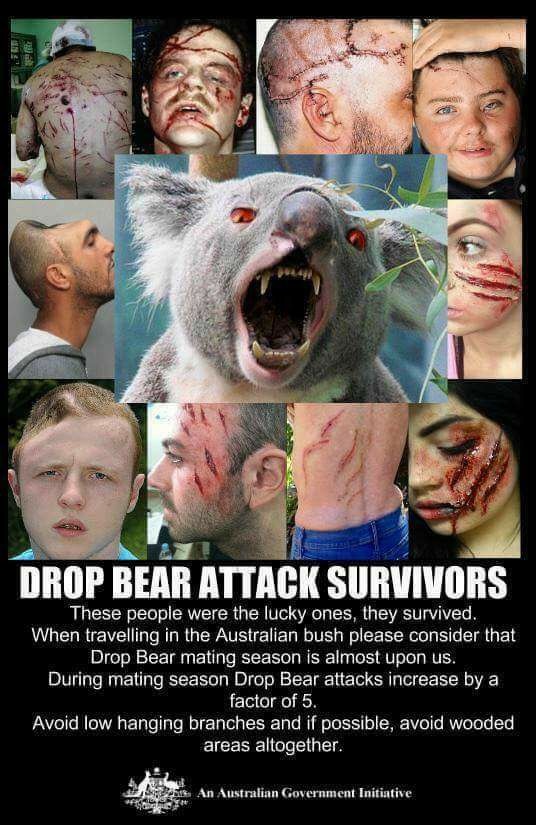 Australian government drop bear warning